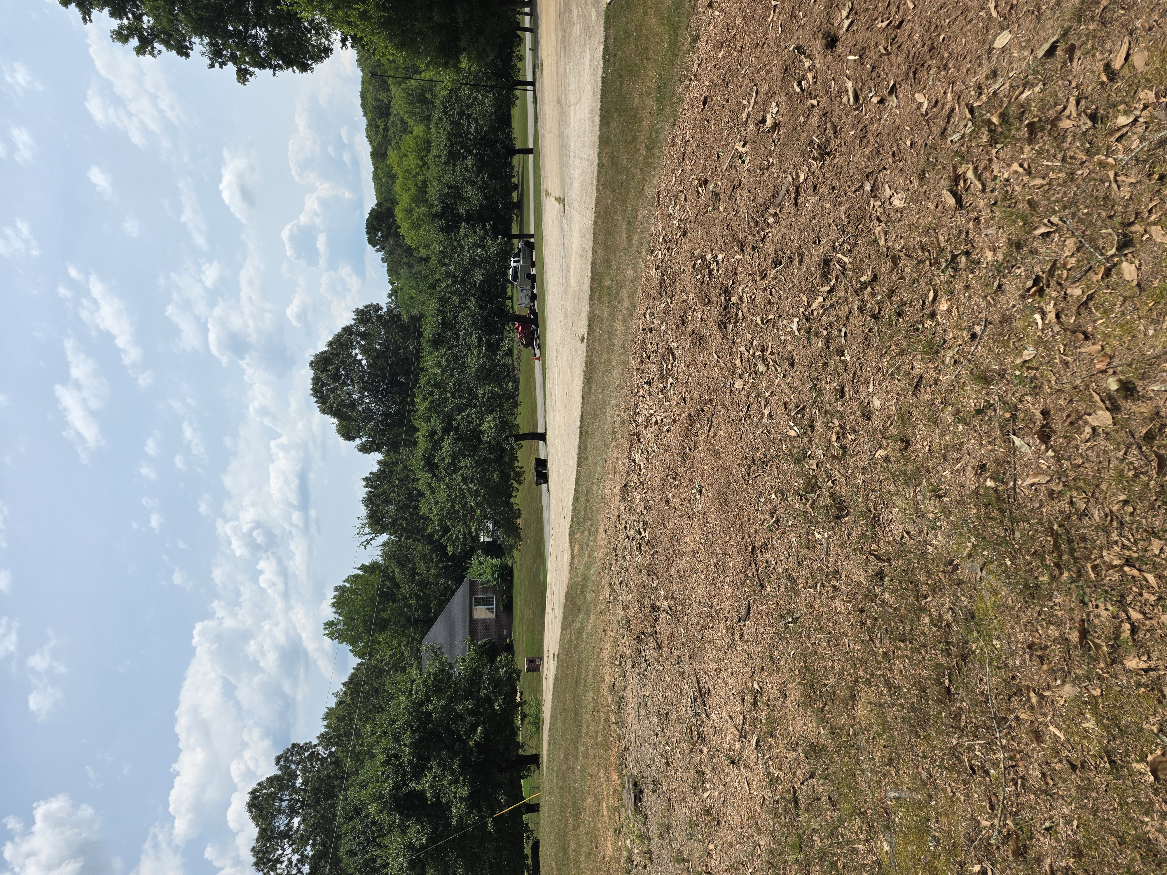 Isolated Stumps featured stump grinding project 2