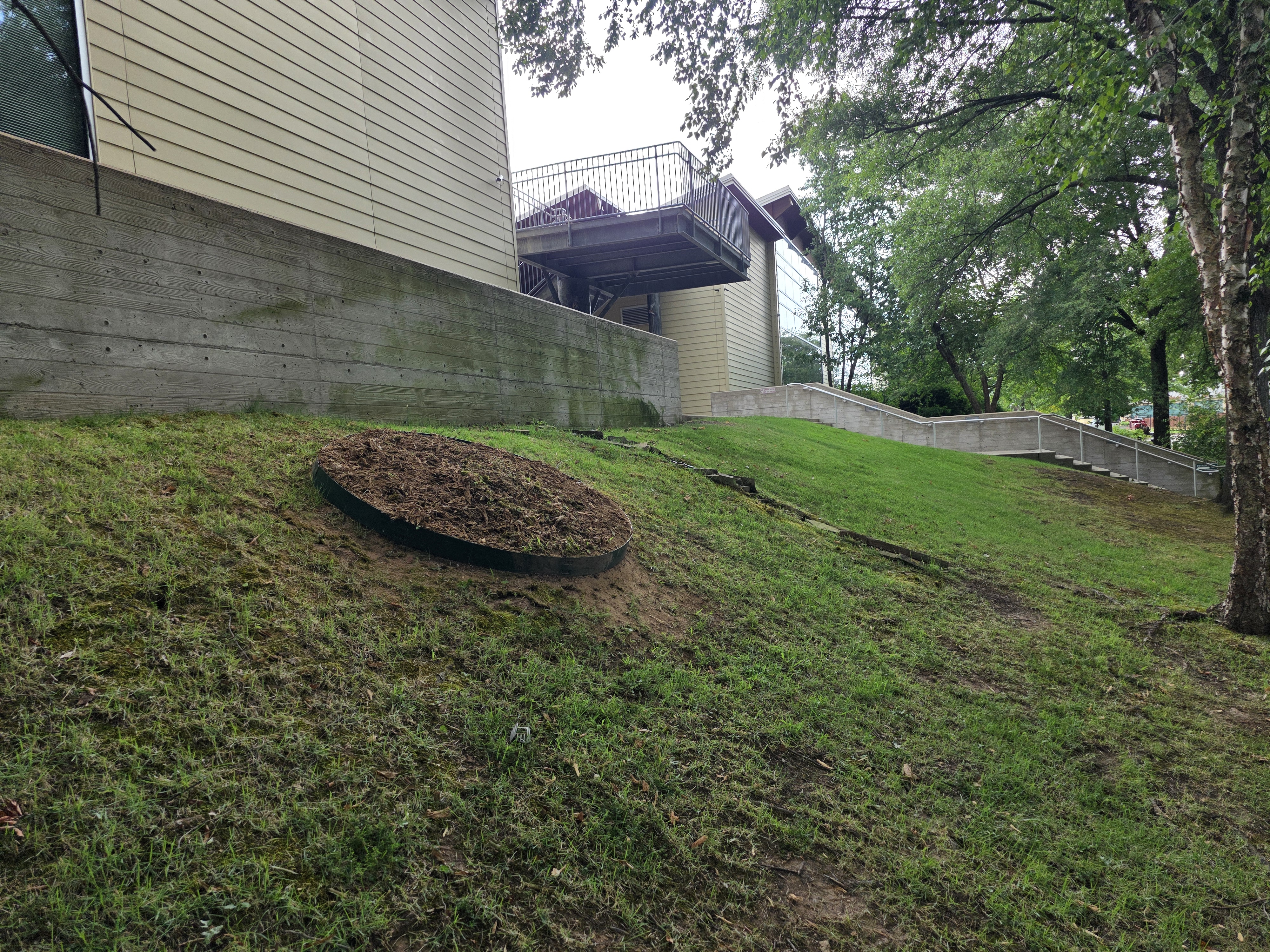 Isolated Stumps featured stump grinding project 11
