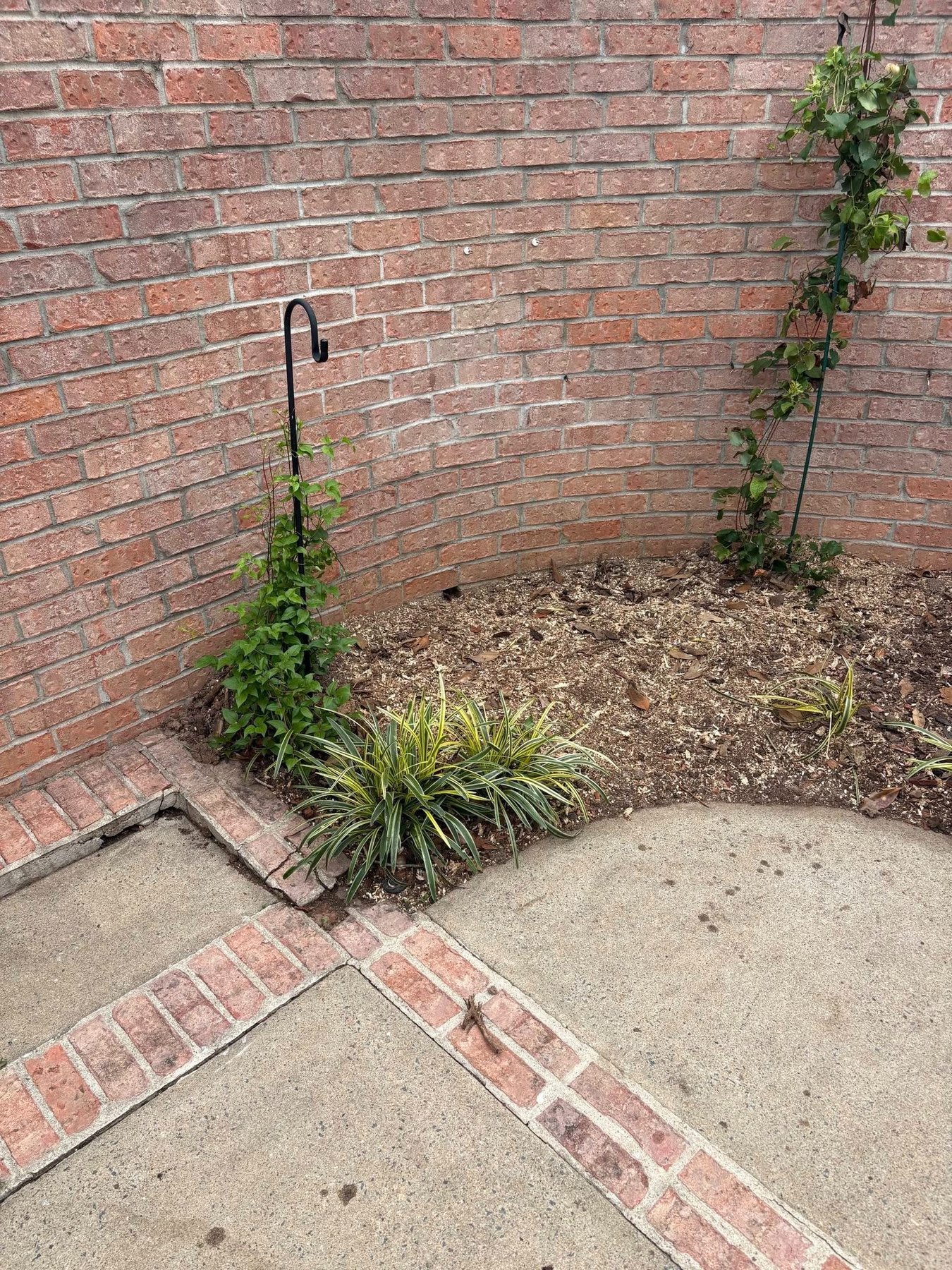 Residential stump grinding project