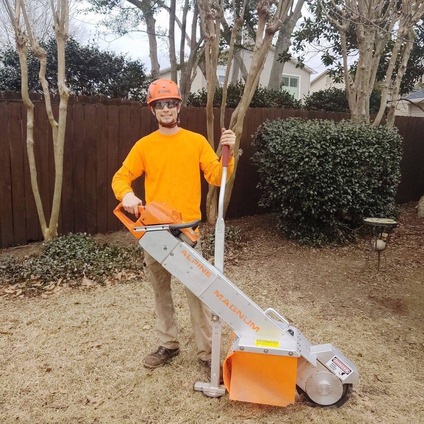 Residential stump grinding project