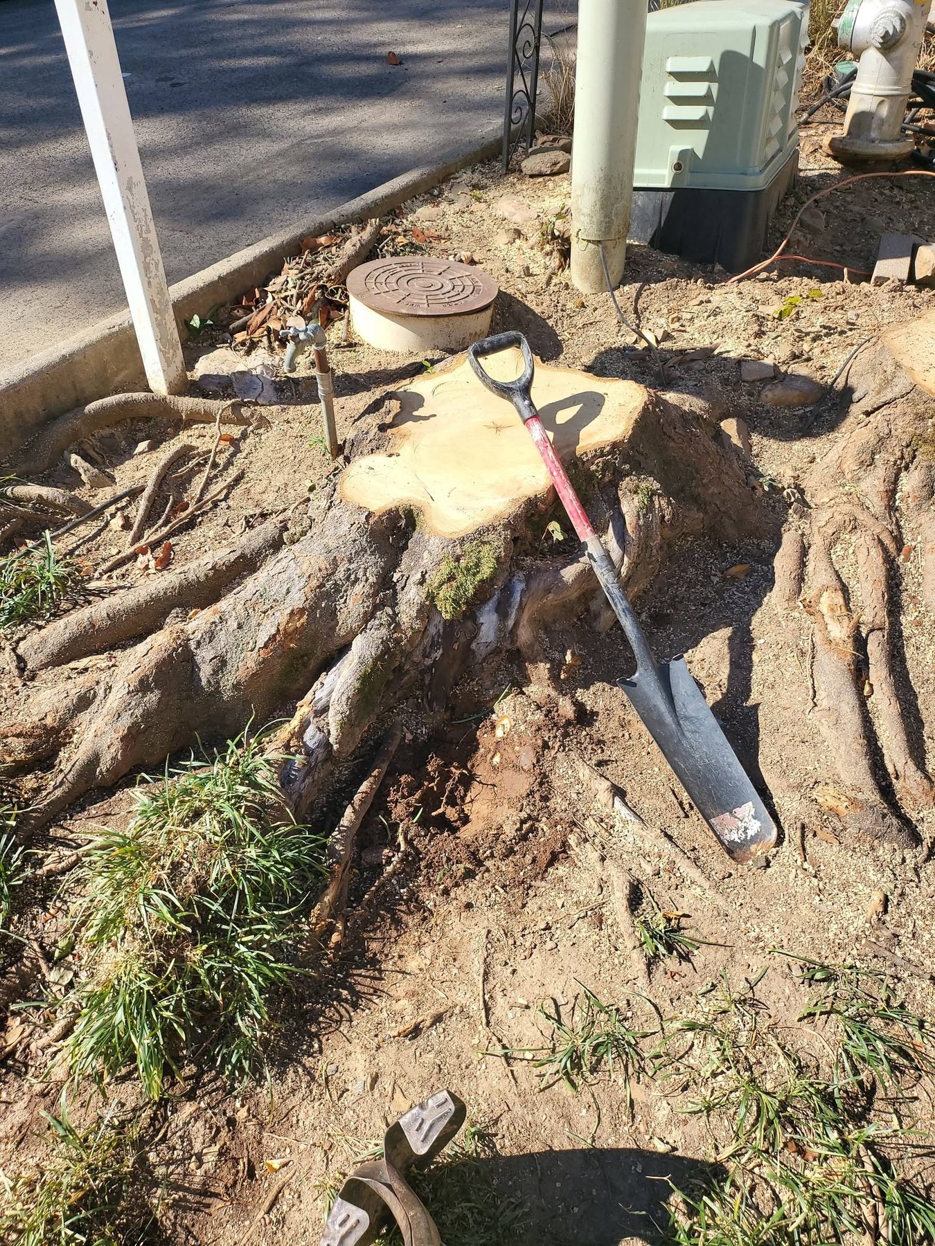 Stump grinding work area