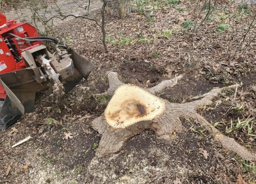 Stump grinder on residential property