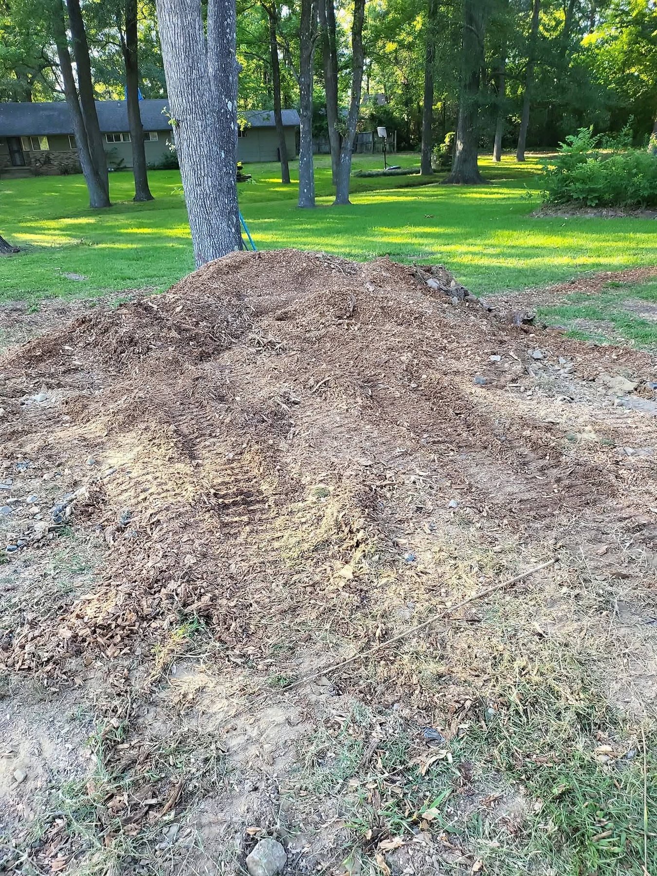 Stump grinder working on a residential property