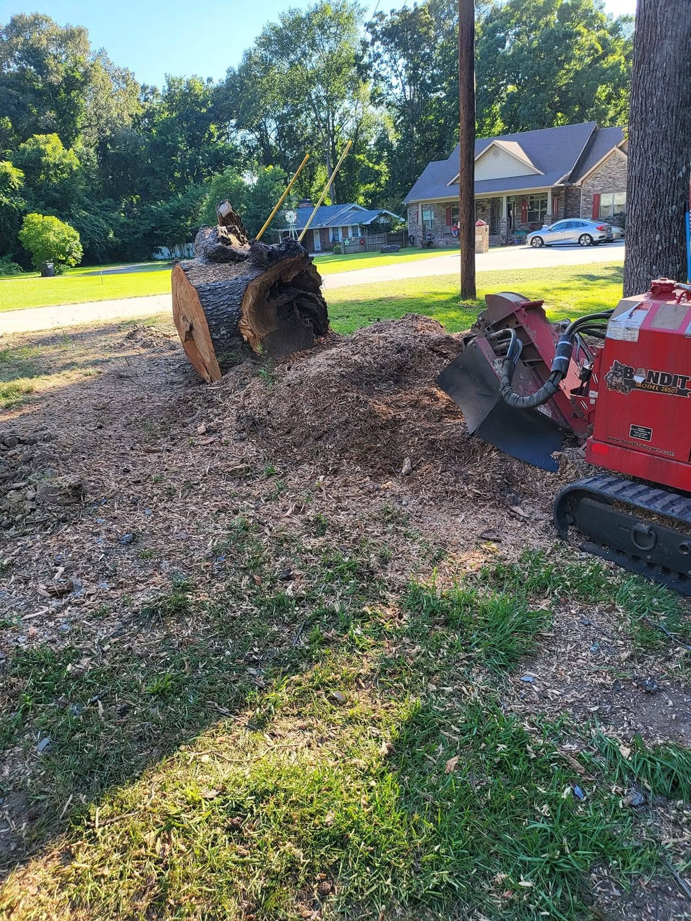 Residential stump grinding project