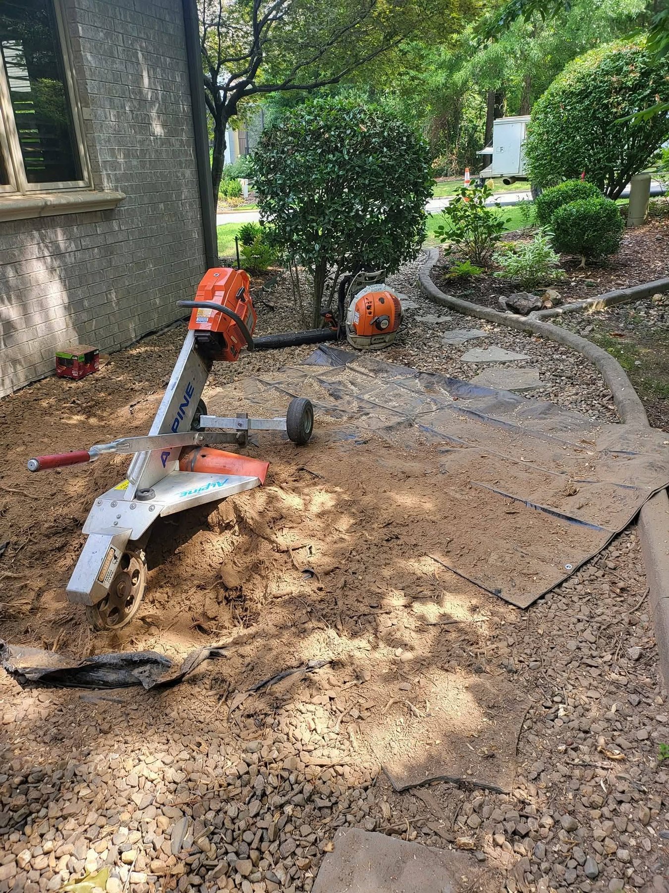 Residential stump grinding project